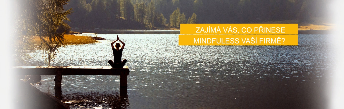 Český mindfulness institut